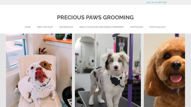 Precious Paws Grooming preview