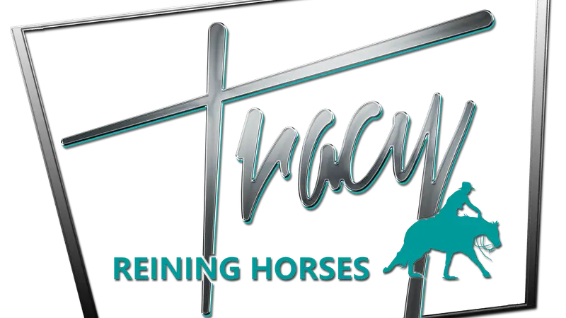 Tracy Reining Horses preview