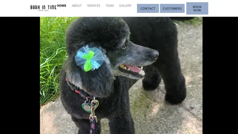 Bark in Time Paw Spa preview