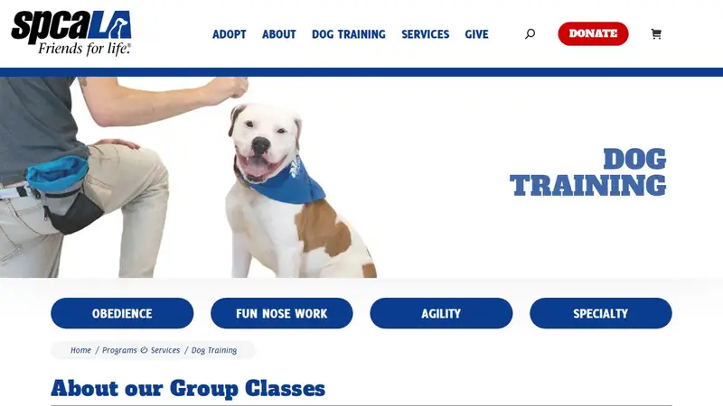 spcaLA Dog Training preview