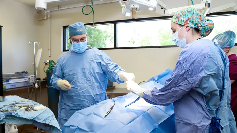 Colorado Springs Veterinary Surgery and Rehab Center preview
