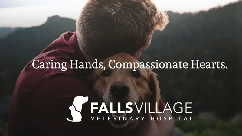 Falls Village Veterinary Hospital preview