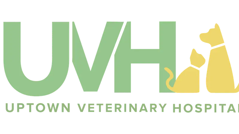 Uptown Veterinary Hospital preview