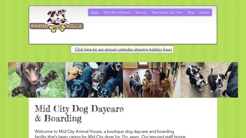 Mid City Animal House Dog Daycare & Boarding preview
