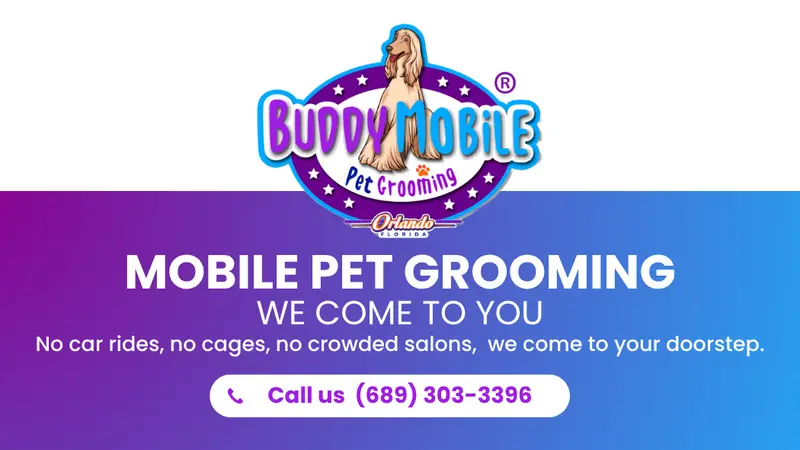 Buddy Mobile Pet Grooming preview