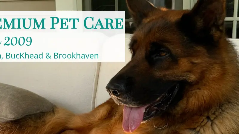 Buckhead Pet Sitting Services preview