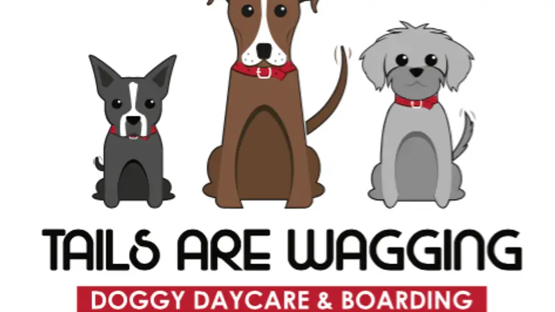 Tails Are Wagging preview