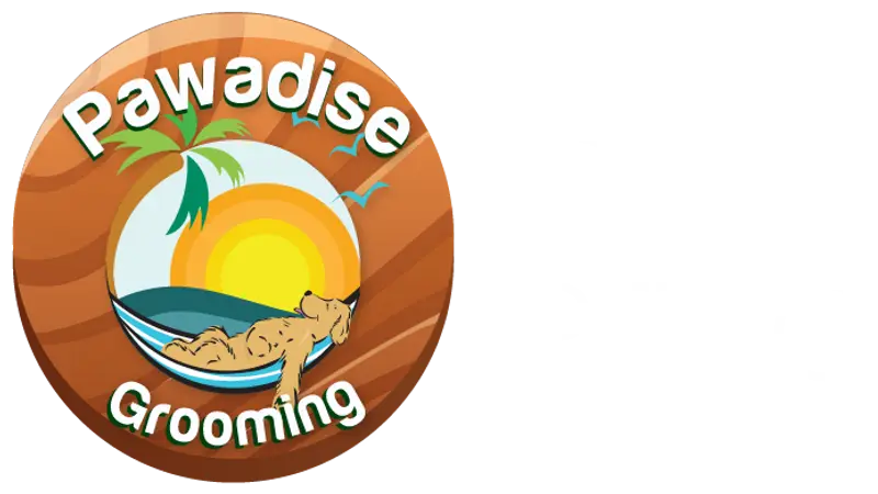 Pawadise preview