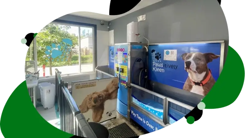Seattle Canine Club - Dog Grooming & Self-Wash preview