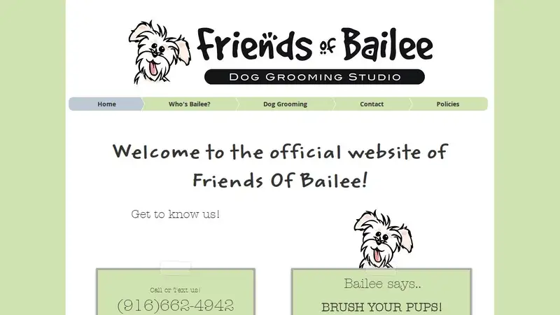 Friends Of Bailee preview
