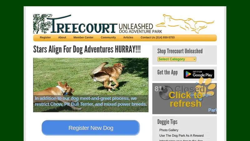 Treecourt Dog Park preview