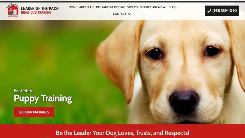 Leader of the Pack Home Dog Training preview
