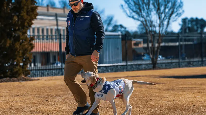 Cornerstone K9 preview