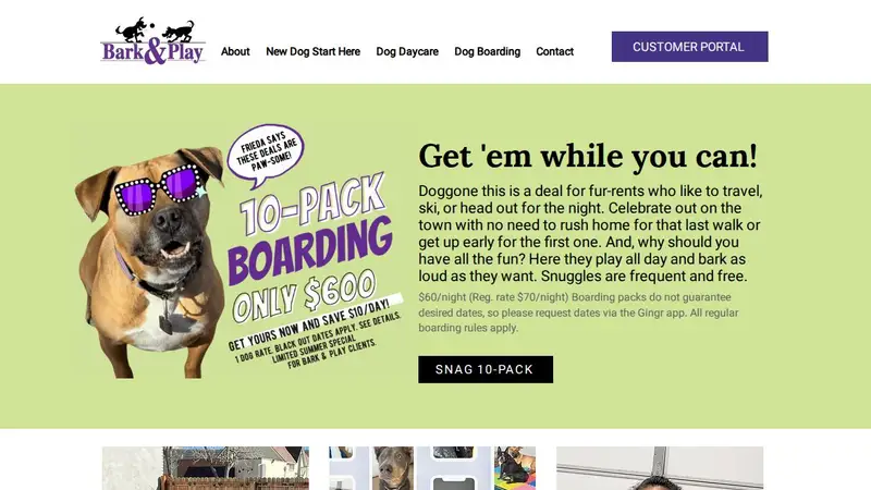 Bark and Play Denver Dog Daycare and Boarding preview