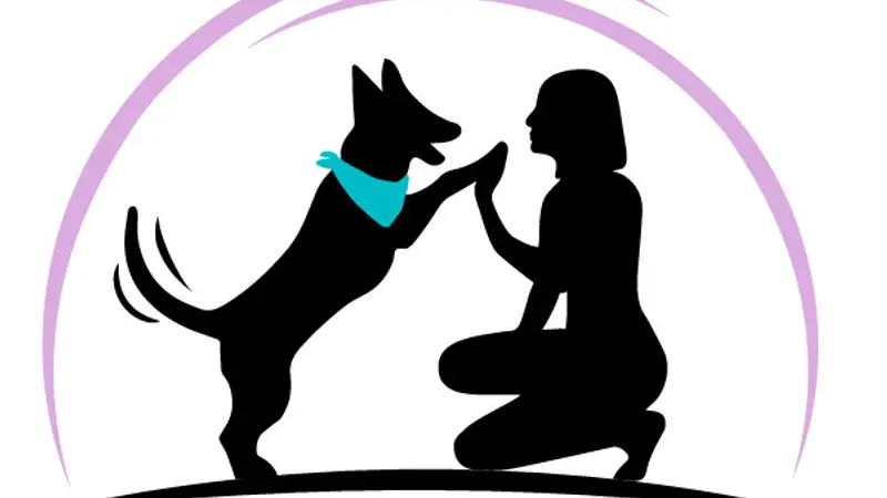 Cuddles & Clips Dog Spa preview