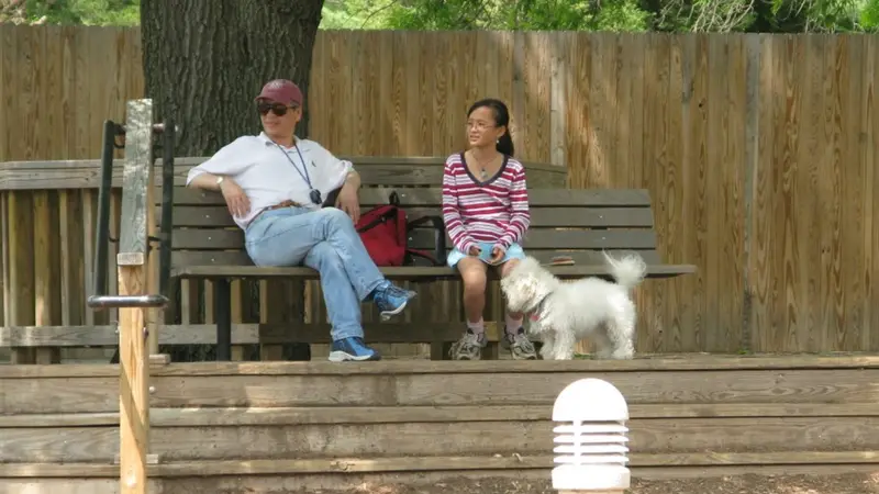 Madison Community Canine Area preview