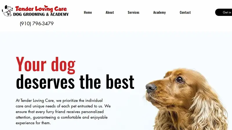 Tender Loving Care Dog Grooming preview