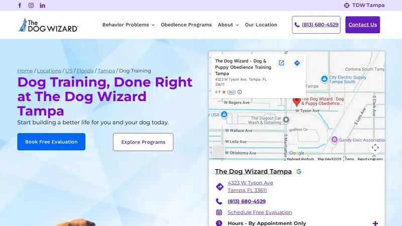 The Dog Wizard Tampa preview