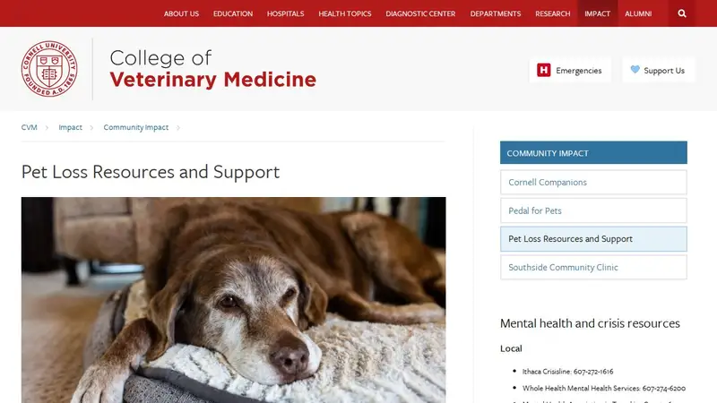 Stratford Hills Veterinary Center preview