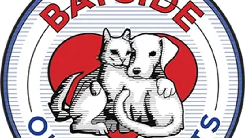 Our Pet Vets preview