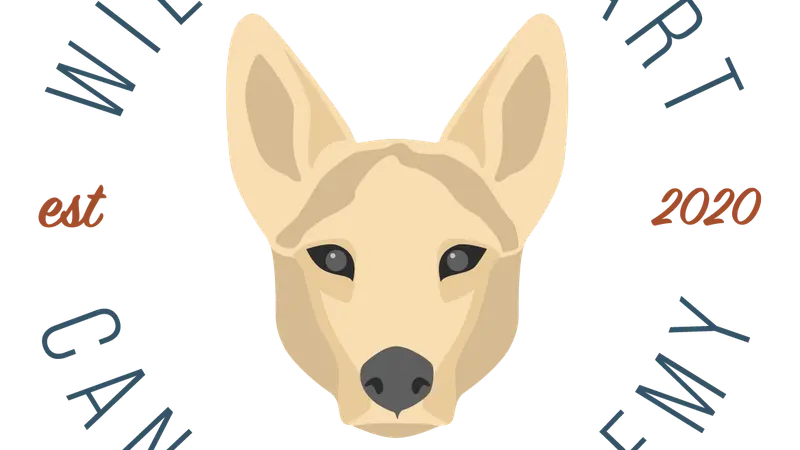 Wild at Heart Canine Academy preview