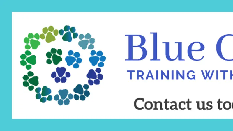 Blue Creek Canine preview