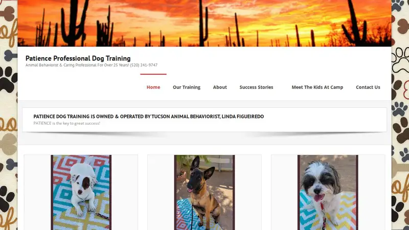Patience Professional Dog Training preview