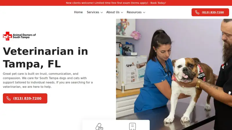 Animal Doctors of South Tampa preview