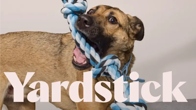 Yardstick Dog Hotel preview