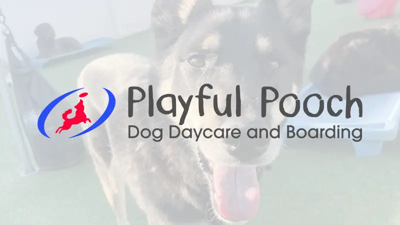 Playful Pooch Dog Daycare & Boarding preview