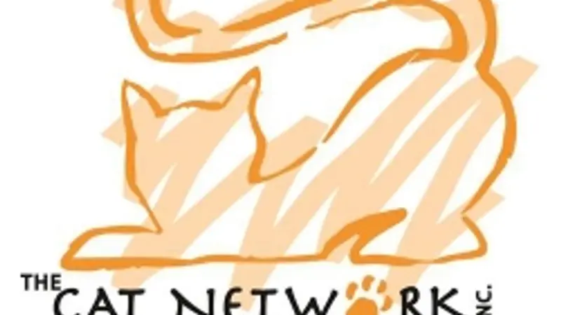 Miami Meow Mobile preview