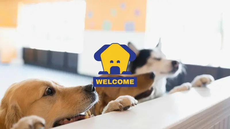 Dog-E-Den preview