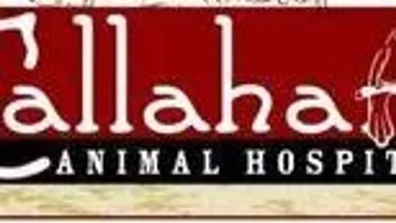 Callahan Drive Animal Hospital preview