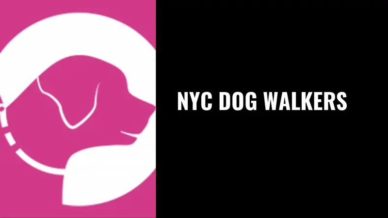NYC Dog Walkers preview