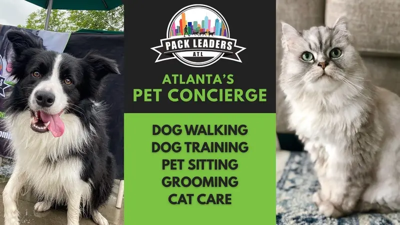 Pack Leaders ATL preview