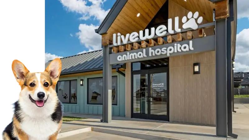 Livewell Animal Hospital of Edmond preview