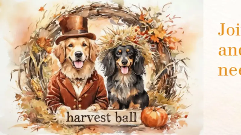 Lovey Loaves Pet & Home Care preview