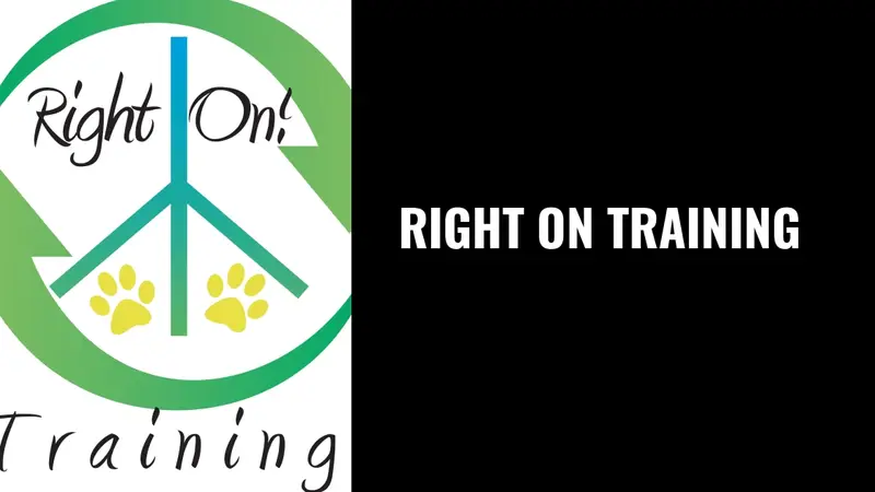 Right On Training preview