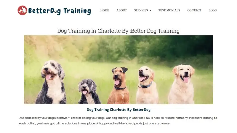 Dog Training In Your Home preview