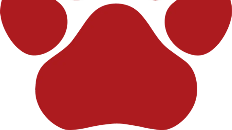 Derby Dogs preview