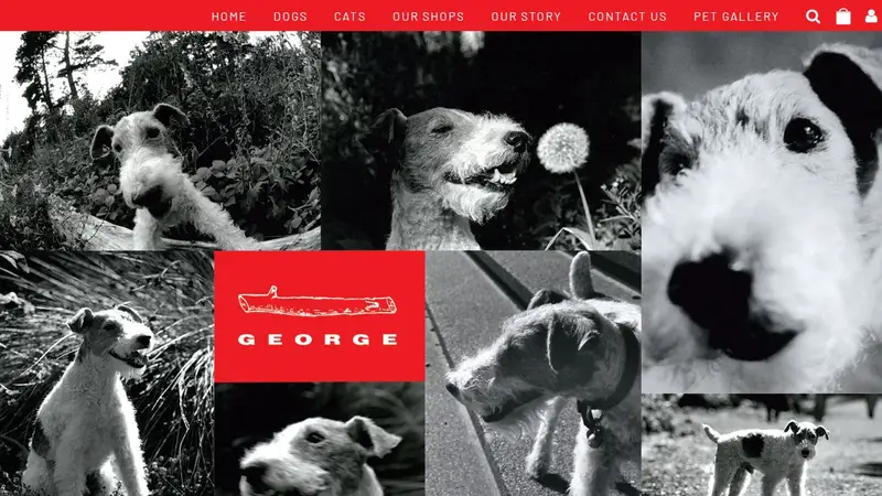 George preview