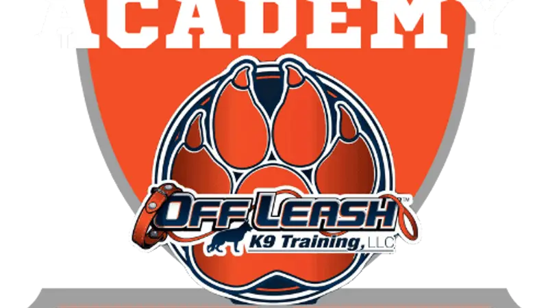 Emerald Coast Dog Trainers preview