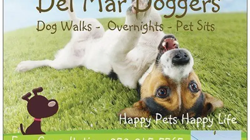 Del Mar Doggers dog walking, dog sitting, overnight stays preview