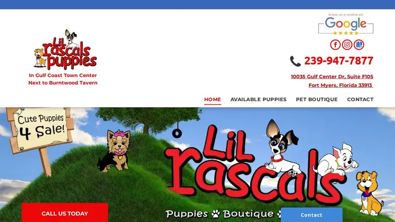 Lil Rascals Puppies preview