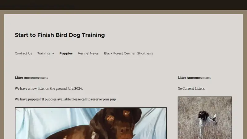 Start To Finish Gun Dog Training preview