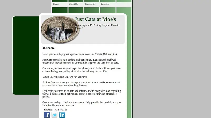 Just Cats at Moe's preview