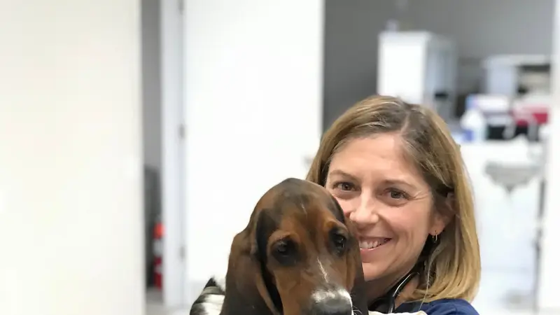 Rehm Animal Clinic at Tillmans Corner preview