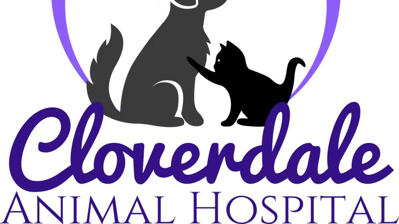 Cloverdale Animal Hospital preview