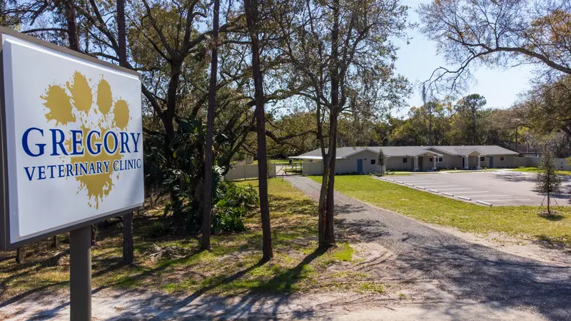 Gregory Vet Clinic preview