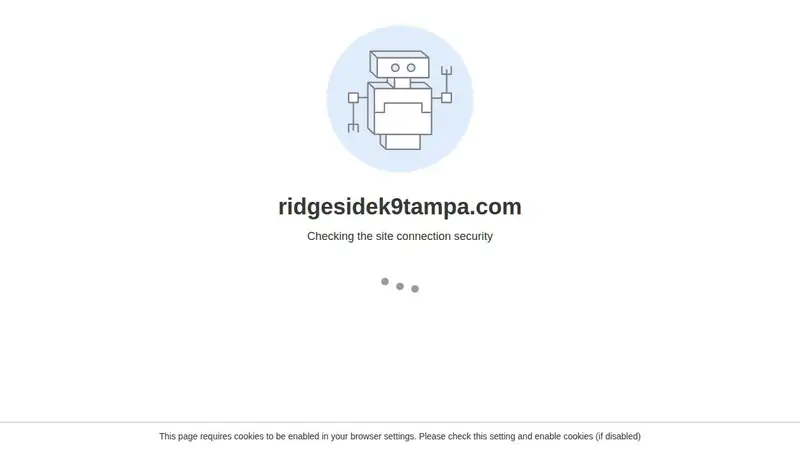 Ridgeside K9 Tampa Dog Training preview